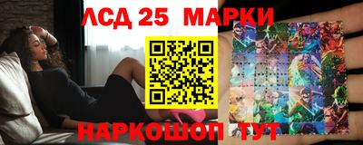 jwh Сланцы