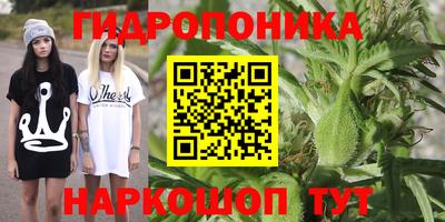 jwh Сланцы
