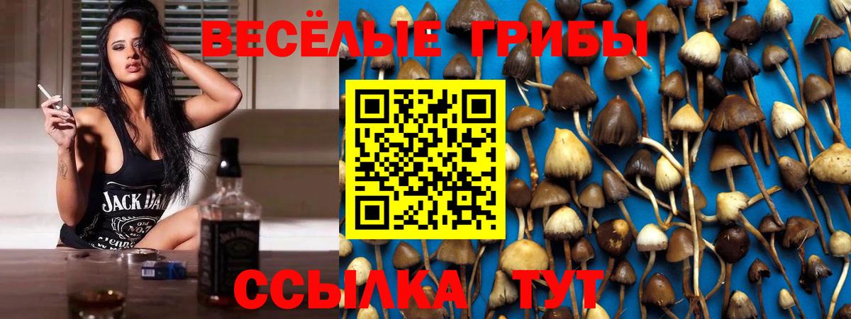 Сатка  Галлюциногенные грибы ЛСД  Вход с VPN  Галлюциногенные грибы ЛСД 